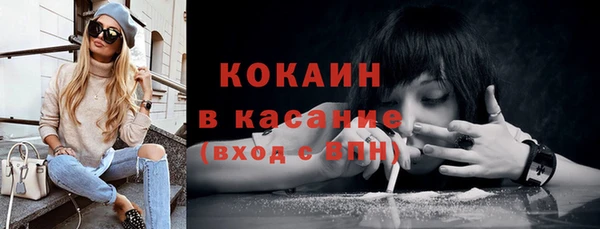прущие грибы Магас