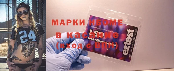 прущие грибы Магас