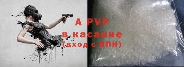 прущие грибы Магас
