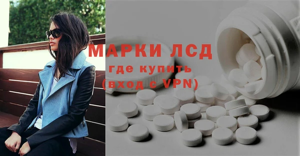 прущие грибы Магас