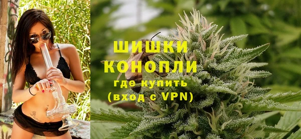 прущие грибы Магас