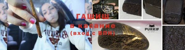 прущие грибы Магас
