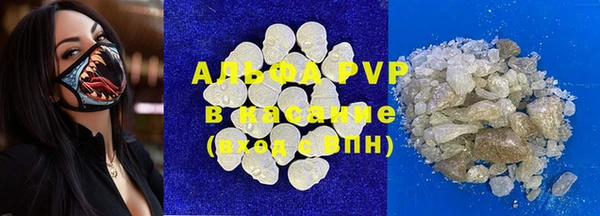 прущие грибы Магас