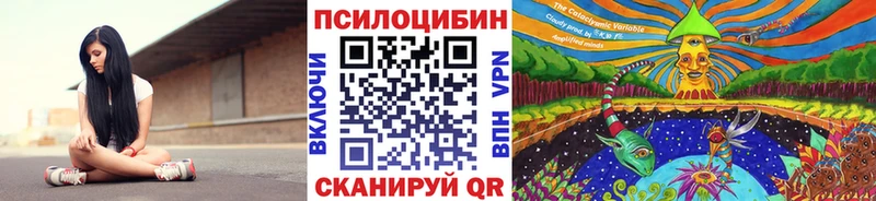 Галлюциногенные грибы прущие грибы Новошахтинск